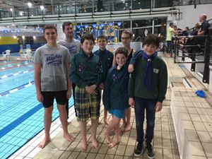 Scouts swimming gala 2017